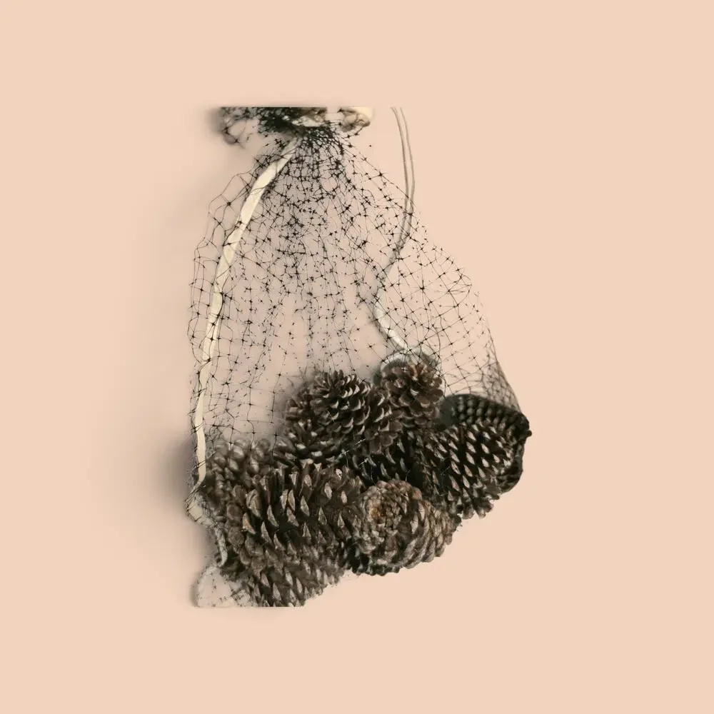 20 Longleaf Pinecone for Crafting Home Decor 2